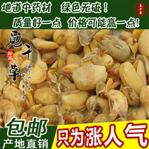 Rhubarb Bean Roll Natural soybean yellow roll No added soybean roll Soy roll 500g special price