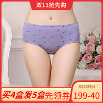 2 Annie Fang female underpants in waist cotton Triangular Pants Cotton Elastic Cotton Shorts Lady Leka Cotton Briefs 3358