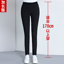 Longer version of elastic waist jeans womens tall small feet trousers high waist size four sides high elastic fat mm autumn