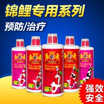 Aquarium Golden Lion koi fish pond goldfish prevention fish antibacterial nitrification bacteria water quality stability clarifier