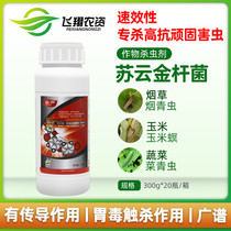 Qiu Yan 8000IU Bacillus thuringiensis burghii cabbage pectoralis diamondback moth hanging silk worm biological insecticide 300g