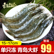 Prawn fresh seafood extra large aquatic products Qingdao oversized frozen base shrimp fresh shrimp seafood shrimp frozen prawn shrimp box