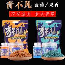Green and black grass carp granules Four Seasons universal blueberry fruit fragrance Black Pit Lake Library wild fishing black carp bait dens small Medicine