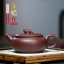 Yixing purple clay teapot all hand-made wealth Jinchan 200ml kung fu teapot gifts high-end gifts
