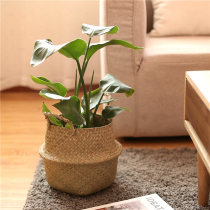 ins Nordic hand-woven flowerpot straw storage basket idyllic rattan ornaments landing creative indoor flower basket