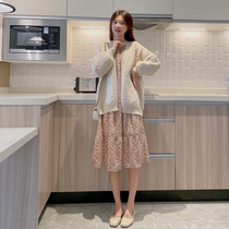 Pregnant womens spring clothing dress suit 2022 early spring new small sub-reduced age out of spring and autumn and two sets of damp mothers