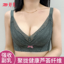Tingmei new underwear womens small chest gathered sub-breast adjustment bra natural Aloe fiber bra