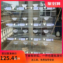Bold high quality galvanized corrosion-resistant pigeon cage 12 16 breeding pigeon cage matching cage with accessories water tank