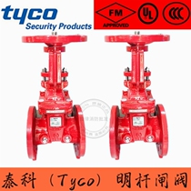 TYCO American Tyco fire flange gate valve 300PSI rising rod DN50 DN300 FM certification UL 3C FL