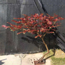 Simulation red maple tree Simulation plant floor-to-ceiling potted fake tree Large green plant bonsai plastic fake flower decoration living room