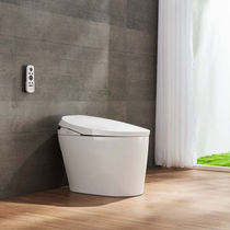 Jiumu smart toilet without water tank full automatic instant heat remote control Integrated Household electric seat toilet S390