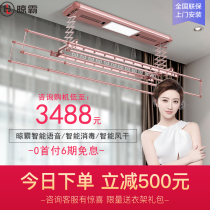 LB03 electric drying rack voice control disinfection lifting telescopic clothes drying Rod intelligent mother and baby clothes clothes machine