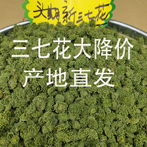 37 37 flowers 2019 New goods for three years 37 Flower selected cut handle 37 flower buds tea colour green 500 gr