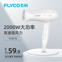 Feike hair dryer Household high-power barbershop dedicated silent does not hurt chills and hot air student dormitory hair dryer