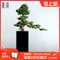 New Chinese simulation welcome pine ornaments large-scale landing crafts hotel sales office porch green planting soft decorations
