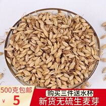 Malt 500g grams of Chinese herbal medicine barley raw malt for another sale of hawthorn back to milk bubble water to drink another grain bud double tooth water