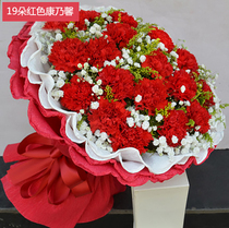 Carnation Lily Bouquet in Chuanshan District Chuanshan District Suining City Sichuan Province