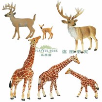 Le Beifu PH animal model simulation toy Deer Giraffe White-tailed deer Sika deer Reindeer Elk Boy 8