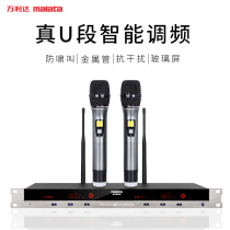 Wanlida BT-8830 metal wireless microphone one for two handheld performance dedicated home ktv microphone