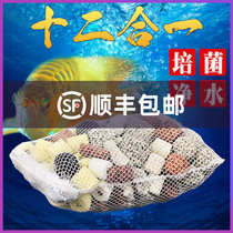 Fish tank filter material ten in one bacterial House British ceramic ring aquarium volcano wheat rice stone coral sand activated carbon