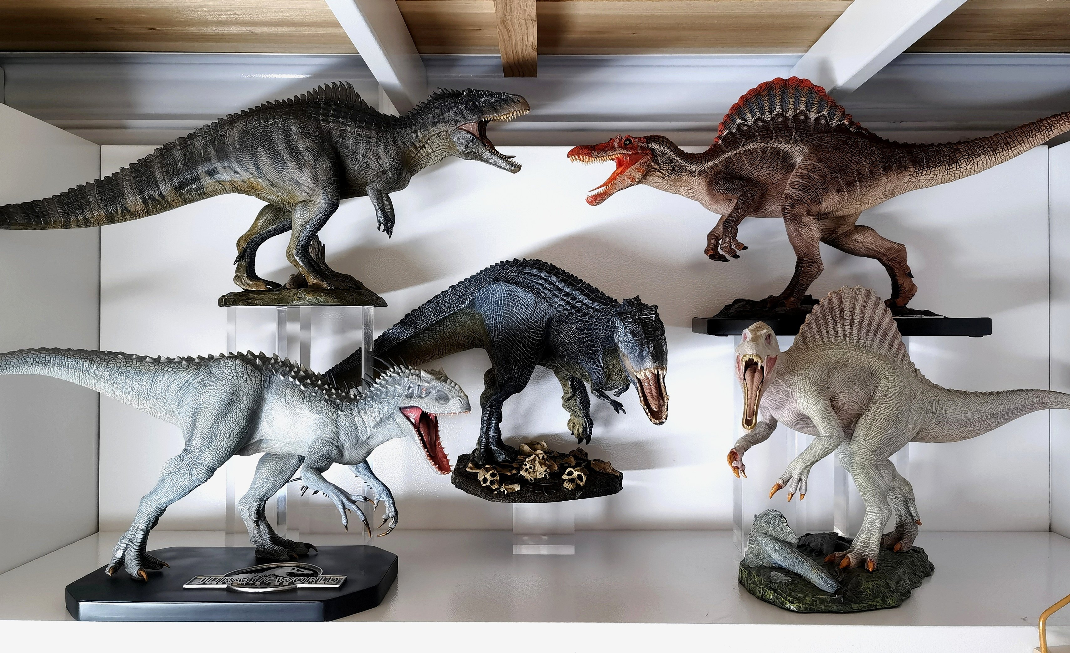 Nanmu Studio Jurassic 172190DX Dinosaur Giganotosaurus King of