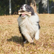 Dog Toy Yite Pet Grindrops Pooch Dog Zero Food Cleaning Teeth Biting Dog Bites Gum Toy Supplies Eat Play Two-in-one