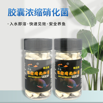 Flower fish nitrifying bacteria Fish tank Aquarium nitrifying bacteria Dry powder Fish tank Water purification Digestive bacteria Nitrifying bacteria