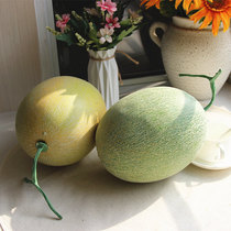 Simulation cantaloupe fake fruit and vegetable model Cantaloupe still life sketching mall cabinet display props Childrens toys