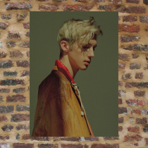 Troye Sivan poster LB574 999 troyesivan poster poking master poster wall stickers perimeter