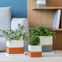 Jean also) Nordic Jane Joins Phnom Penh Large Number of Straight Cylindrical Personality Creative Flower Pots Ceramic Indoor Green Plant