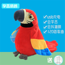 Emulation will learn talking parrot paparazzi dolls Wolverine wool suede toy rereading school tongue electric children