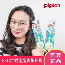 (丢 丢 miami)Pigeon Baby Tooth Care Training Toothbrush 8-12 months Training Toothbrush