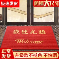 Welcome to the welcome mat disinfection doormat Hotel shop door entrance mat custom elevator absorbent carpet
