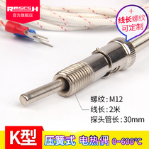 Screw type K type PT100 temperature control probe thermocouple temperature sensor E type pressure spring type temperature measuring rod thermal resistance