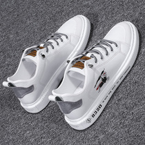 2021 spring new mens shoes Net red breathable Korean trendy shoes summer leisure wild shoes Sports Board Shoes
