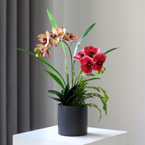Phalaenopsis simulation flowers high-grade 2020 new flower potted set fake flower living room desktop floral ornaments