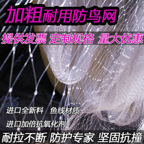 Agricultural bird-proof net Skynet fruit tree orchard net cherry rice grape blueberry fish pond culture protection isolation