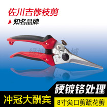 Leaf Bud Cut Prunes Zokawa Gi Bonsai Bonsai Pointed Scissors Rare Pick Fruit Cut And Pick And Pick Up The Grape Hand Cut Hot Pin