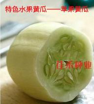 Apple Cucumber Seeds Organic Vegetables Seed Fruit Seeds Non-Genetically Modified Spring Sowing Garden Garden