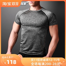 Premium Tight Scratch Resistant Nylon Sports Outdoor Tactical Short Sleeve Summer Round Neck