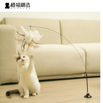 Cat sticks cat self-Hi Rod feathers bite-resistant long rod wire cat relieve boredom toys kitten supplies pet toys