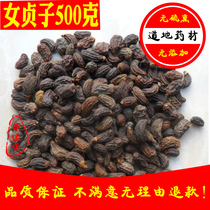 Ligustrum lucidum Chinese herbal medicine wild female holly 500g can grind Ligustrum powder