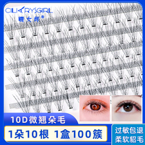 False eyelashes womens single cluster of 10 hairy eyelashes grafted eyelashes 0 05 natural simulation net celebrity beginner planting