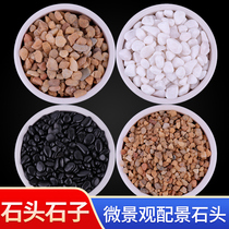 Flower rain stone sand table Building model material White stone micro-landscape scene fleshy model stone particle fish tank