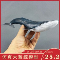 Large whale simulation marine animals Blue whale model toy Plastic solid ornaments Childrens male Finding Nemo
