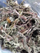 Anguo Chinese medicinal materials market batch wild dandelion sulfur-free dandelion 1000g