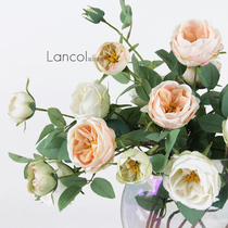 Lancol European style Korean flower champagne color Austin rose home living room decoration fake silk flower