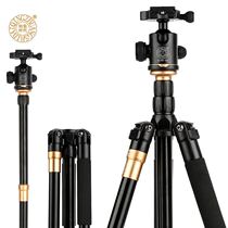 Light-mounted era Q666 SLR camera tripod portable micro-Single Camera tripod stand stand Monopod