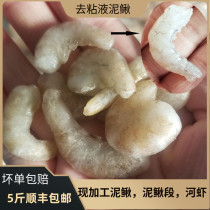 Loach section frozen fish food Dragon Fish Fish Fish Fish goby horn frog crocodile turtle feed frozen Loach section