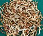 99 Chinese herbal medicine dried orange peel and dried orange peel silk 500 gr 8 Yuan